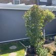 Fenster- und Senkrechtmarkisen: "Typ F513"